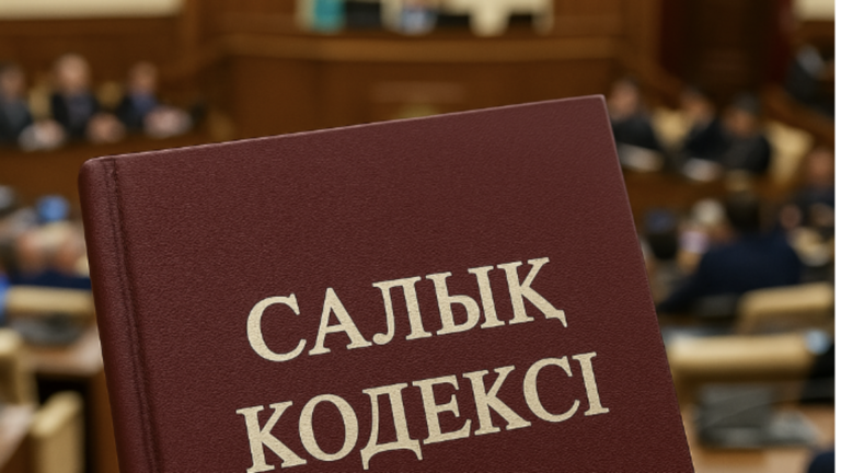 Казиноға жеңілдік, медицинаға салық: Жаңа Салық кодексі қоғамда дау тудырды