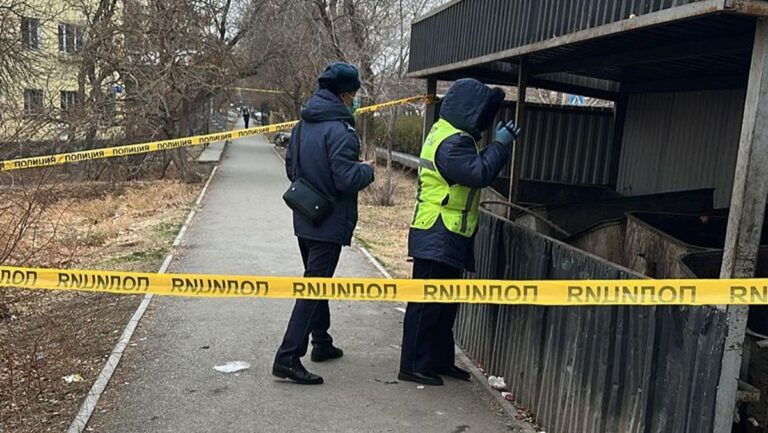 Кентауда қоқыс жәшігінен нәрестенің денесі табылды