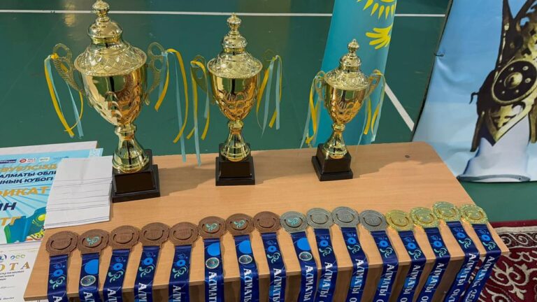 Тәуелсіздік күні: Алматы облысында тоғызқұмалақ додасы ұйымдастырылды